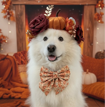 Load image into Gallery viewer, Boho Pumpkin Patch Dog Bow – Available in Bow Tie and Sailor Bow