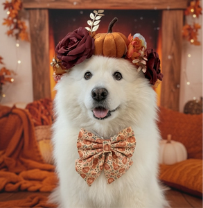 Boho Pumpkin Patch Dog Bow – Available in Bow Tie and Sailor Bow