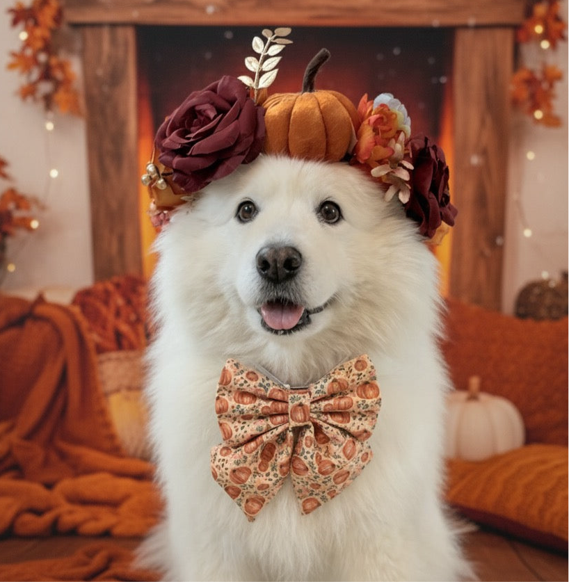 Boho Pumpkin Patch Dog Bow – Available in Bow Tie and Sailor Bow