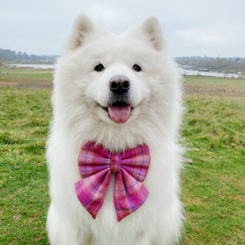 Pink Tartan Wool Dog Bow, Available in Sailor Bow and Bow tie (no bottom tails)