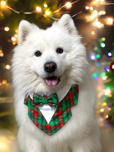 Christmas Plaid Dog Tuxedo