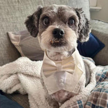 Load image into Gallery viewer, Cream Dog Tuxedo Bandana