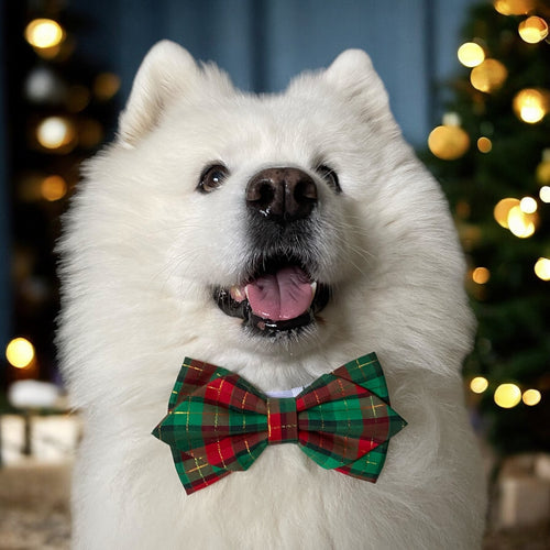 Christmas Plaid Dog Diamond Bow Tie