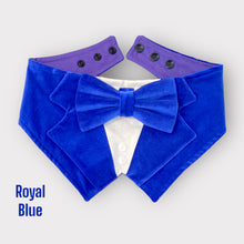 Load image into Gallery viewer, Royal Blue Velvet Pet Tuxedo Bandana