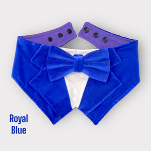 Royal Blue Velvet Pet Tuxedo Bandana