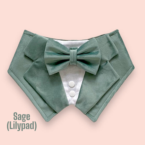 Sage Green (Lilypd) Velvet Dog Tuxedo Bandana