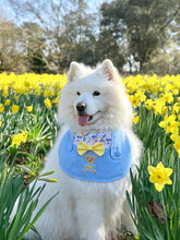 Load image into Gallery viewer, Sky Blue Dungarees Dog Bandana