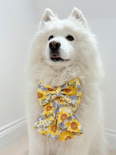 Load image into Gallery viewer, Sunflower Dreams Dog Sailor Bow