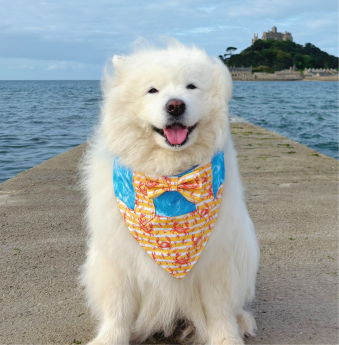 Cromer Crabs Jumpsuit Dog Bandana