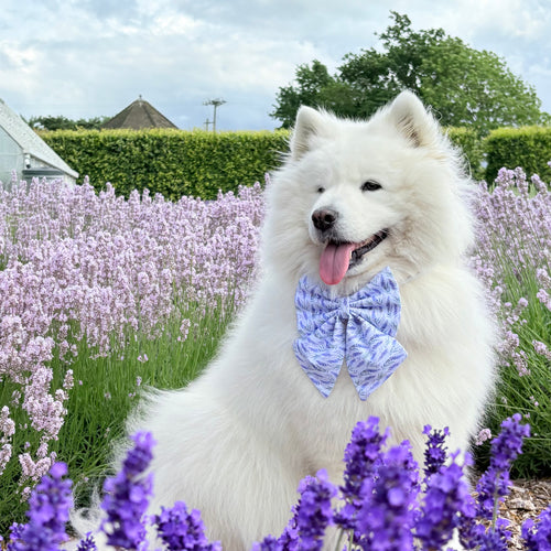 Lavender Bloom Dog Bow, Available in Sailor Bow and Bow Tie