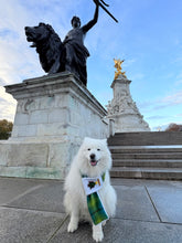 Load image into Gallery viewer, Green Monster Inspired Christmas Dog Scarf