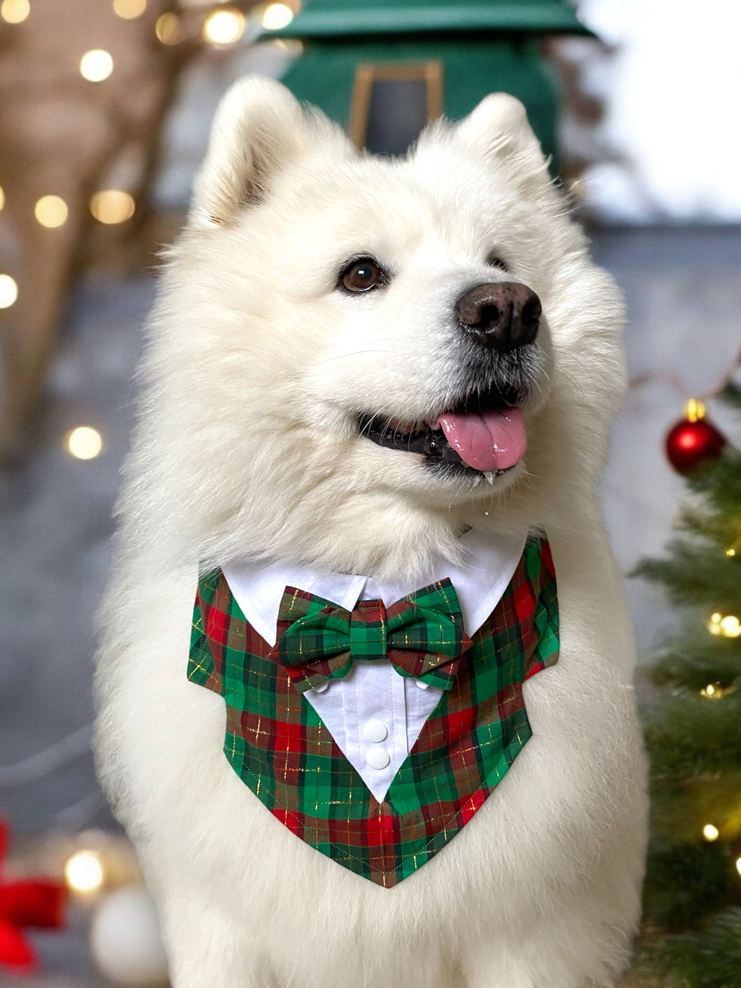 Christmas Plaid Dog Tuxedo