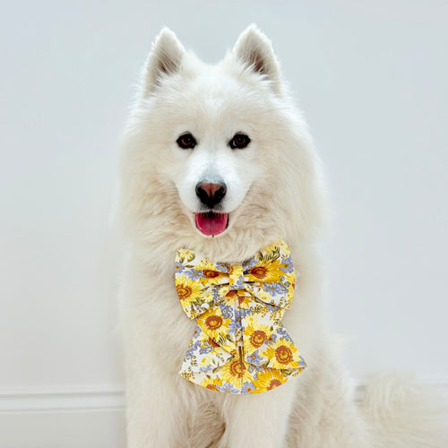 Sunflower Dreams Dog Sailor Bow
