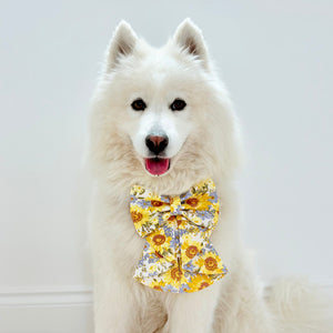 Sunflower Dreams Dog Sailor Bow