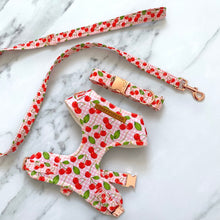 Load image into Gallery viewer, Pink Cherries Dog Harness Bundle