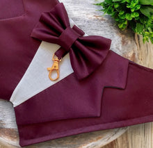 Load image into Gallery viewer, Plum Silk Sarin Dog Tuxedo Bandana