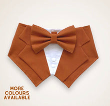 Load image into Gallery viewer, Terracotta Dog Tuxedo Bandana