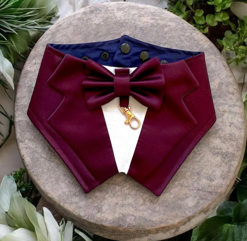 Plum Silk Sarin Dog Tuxedo Bandana