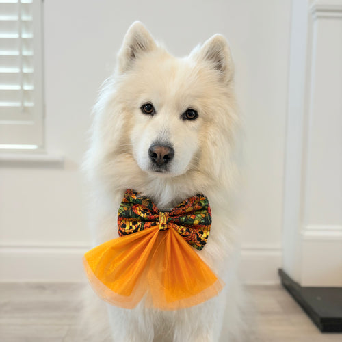 Spooky Halloween Pumpkin Dog Bow
