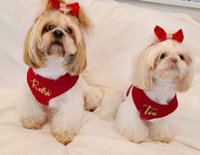 Load image into Gallery viewer, Bright red velvet dog harness bundle