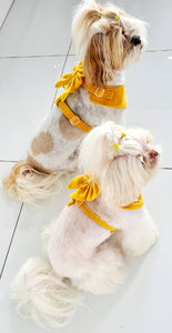 Yellow velvet dog harness bundle