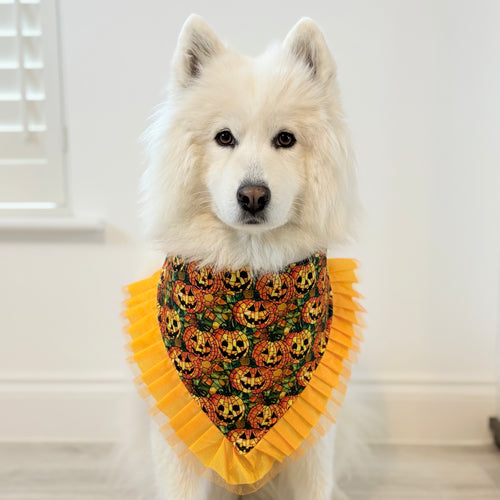 Spooky Halloween Pumpkin Dog Bandana