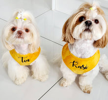 Load image into Gallery viewer, Summer yellow velvet dog harness