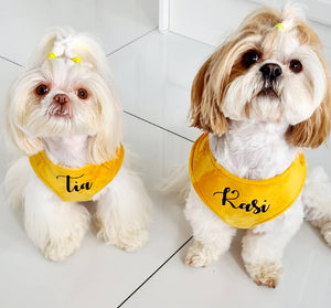 Summer yellow velvet dog harness