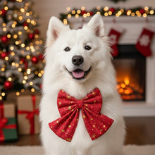 Load image into Gallery viewer, Christmas Golden Stars Dog Bow, Available in Sailor Bow and Bow Tie