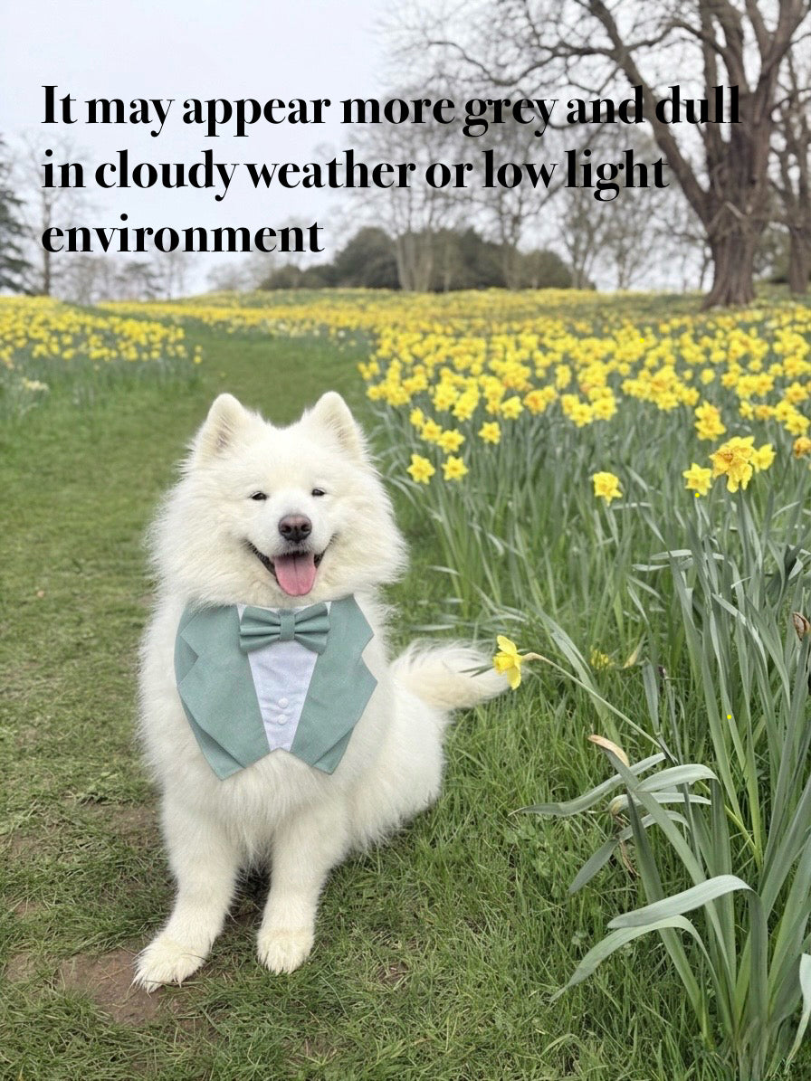 sage green dress outfit White Tennis Dog Dress | Poshdoglife.com main image 0