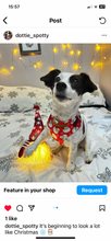 Load image into Gallery viewer, Father Christmas Dog Harness