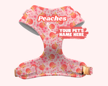Load image into Gallery viewer, Summer Peach Dog Harness