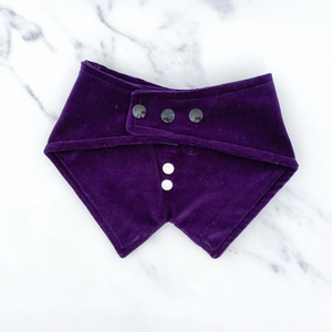 Dark Purple Velvet Dog Tuxedo Bandana