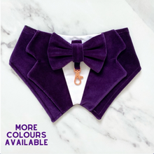 Load image into Gallery viewer, Dark Purple Velvet Dog Tuxedo Bandana