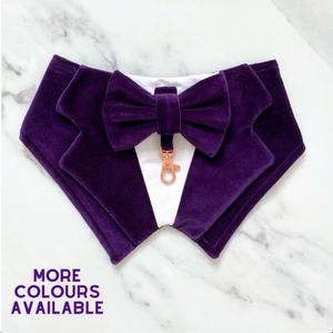 Dark Purple Velvet Dog Tuxedo Bandana