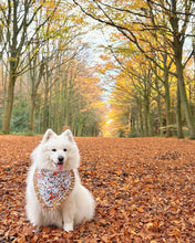 Load image into Gallery viewer, Autumnal Woodland Dog Bandana