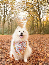 Load image into Gallery viewer, Autumnal Woodland Dog Bandana