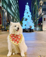 Load image into Gallery viewer, Father Christmas Dog Bandana with Golden Ruffles