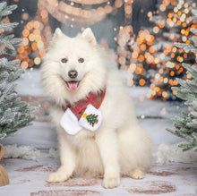 Load image into Gallery viewer, Christmas Tartan Dog Scarf, Matching Human Scarf is Available