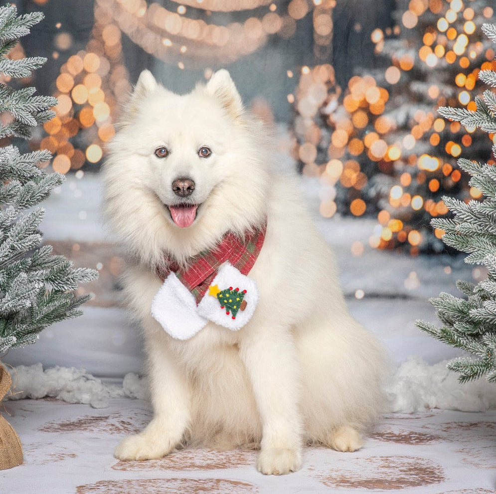 Christmas Tartan Dog Scarf, Matching Human Scarf is Available