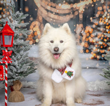 Load image into Gallery viewer, Christmas Tartan Dog Scarf, Matching Human Scarf is Available