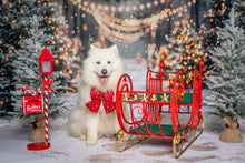 Load image into Gallery viewer, Christmas Red Dog Bow, available in sailor bow and bow tie style