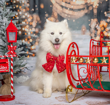 Load image into Gallery viewer, Christmas Red Dog Bow, available in sailor bow and bow tie style