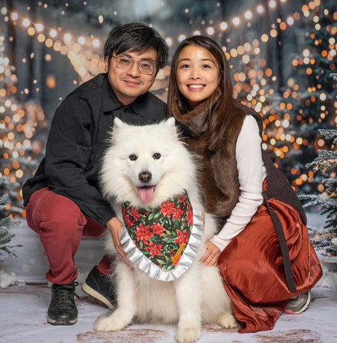 Christmas Poinsettia Dog Bandana with Silver Ruffles
