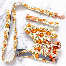 Load image into Gallery viewer, Boho Pumpkin Patch Dog Harness Bundle