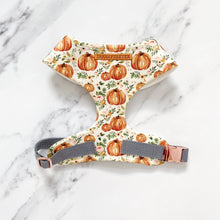 Load image into Gallery viewer, Boho Pumpkin Patch Dog Harness