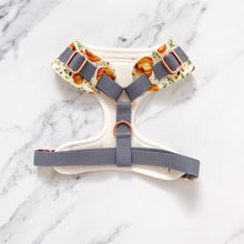 Load image into Gallery viewer, Boho Pumpkin Patch Dog Harness