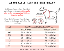 Load image into Gallery viewer, Boho Pumpkin Patch Dog Harness Bundle