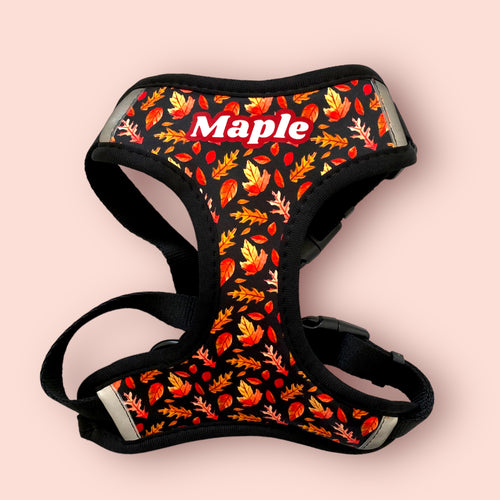 Autumn Maple Leaves Dog Harness