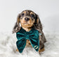 Dark Green Velvet Dog Bow Tie or Sailor Bow: Handmade Pet Collar Accessory